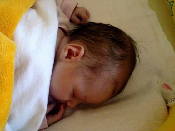 czikoramilla: 20090920435