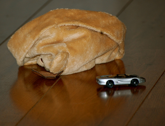 nemtudokfotozni: DSC 0140