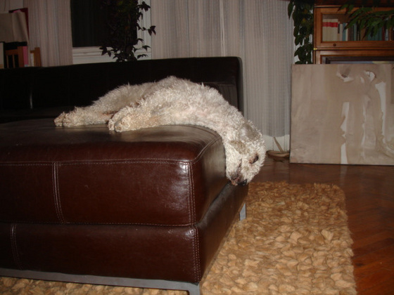11024847_71657adb735fec7d73a85cffab6dd719_m.jpg
