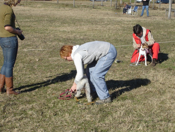 9987555_2c347db1cdb0d6333cfabc79ecdafd38_m.jpg