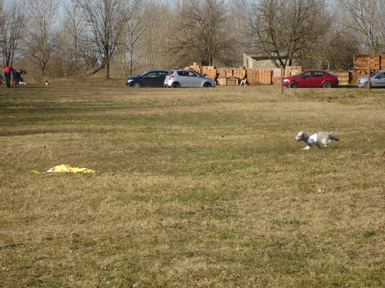 9987565_15a5c2bb2d317505549c31bfa9463199_m.jpg