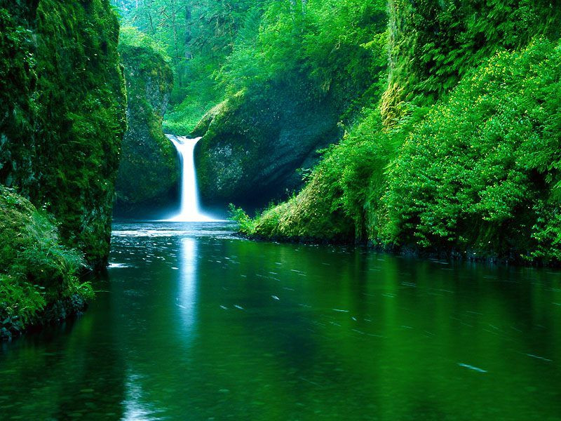 Punch Bowl Falls, Eagle Creek Wilderness Area, Columbia River Go