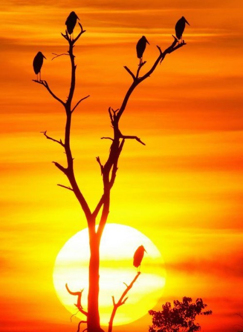 sunsets africa michael poliza 03-500x684