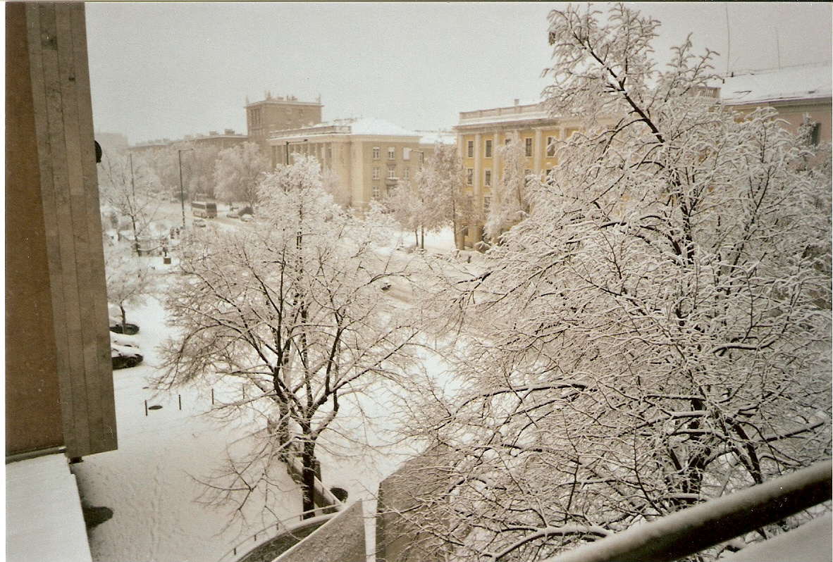 Téli kép az ablakomból1