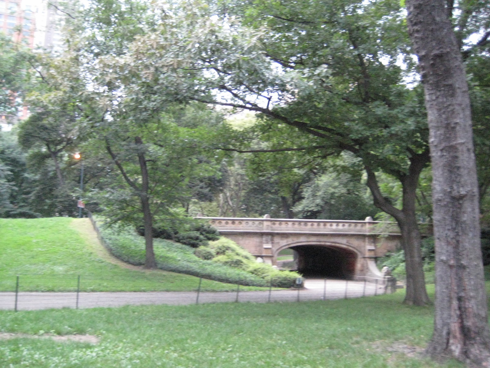 Central Park