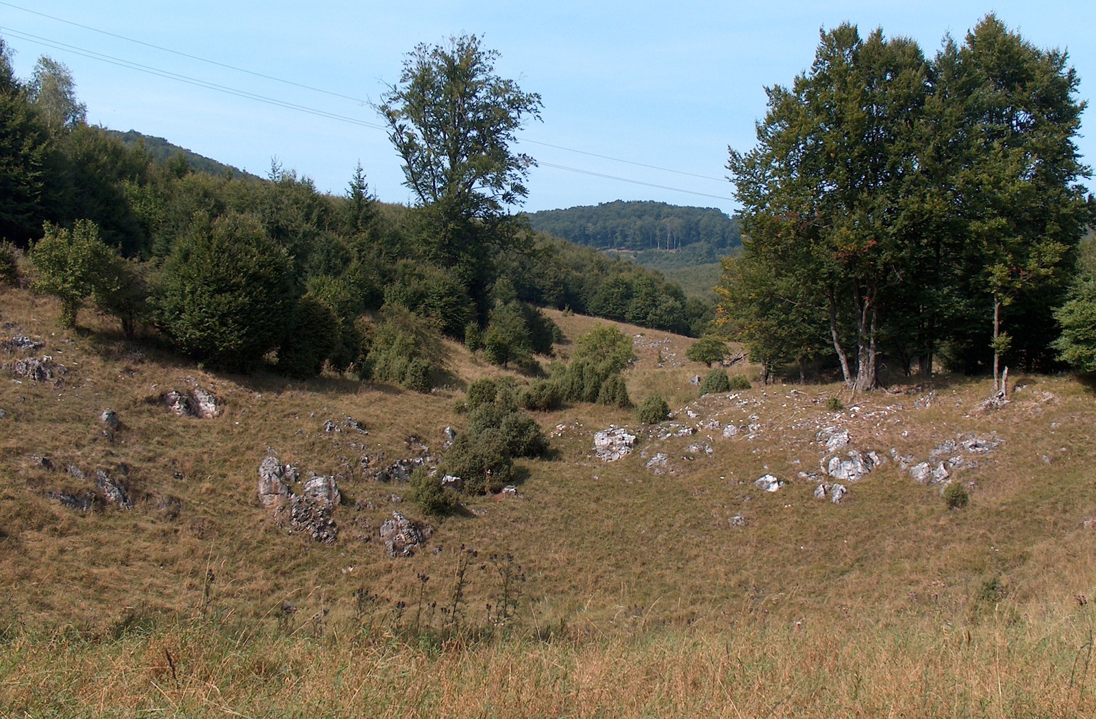 20090912 Bukk 10 dolina