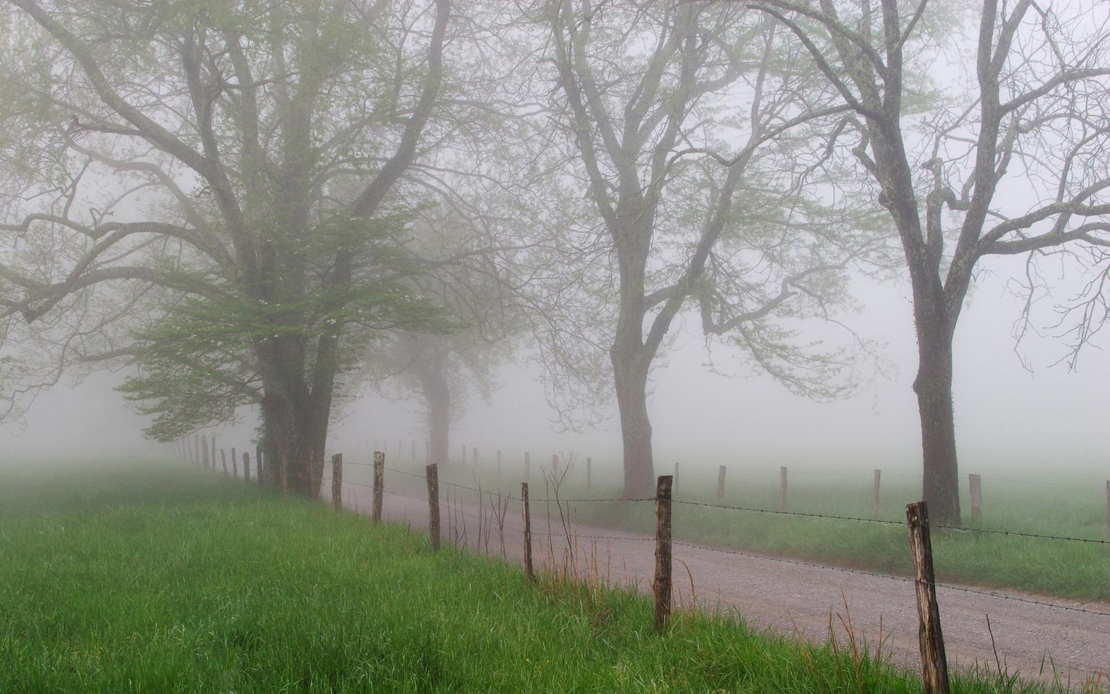 Cades Cove in Early Spring, Great Smoky Mountains, Tennessee