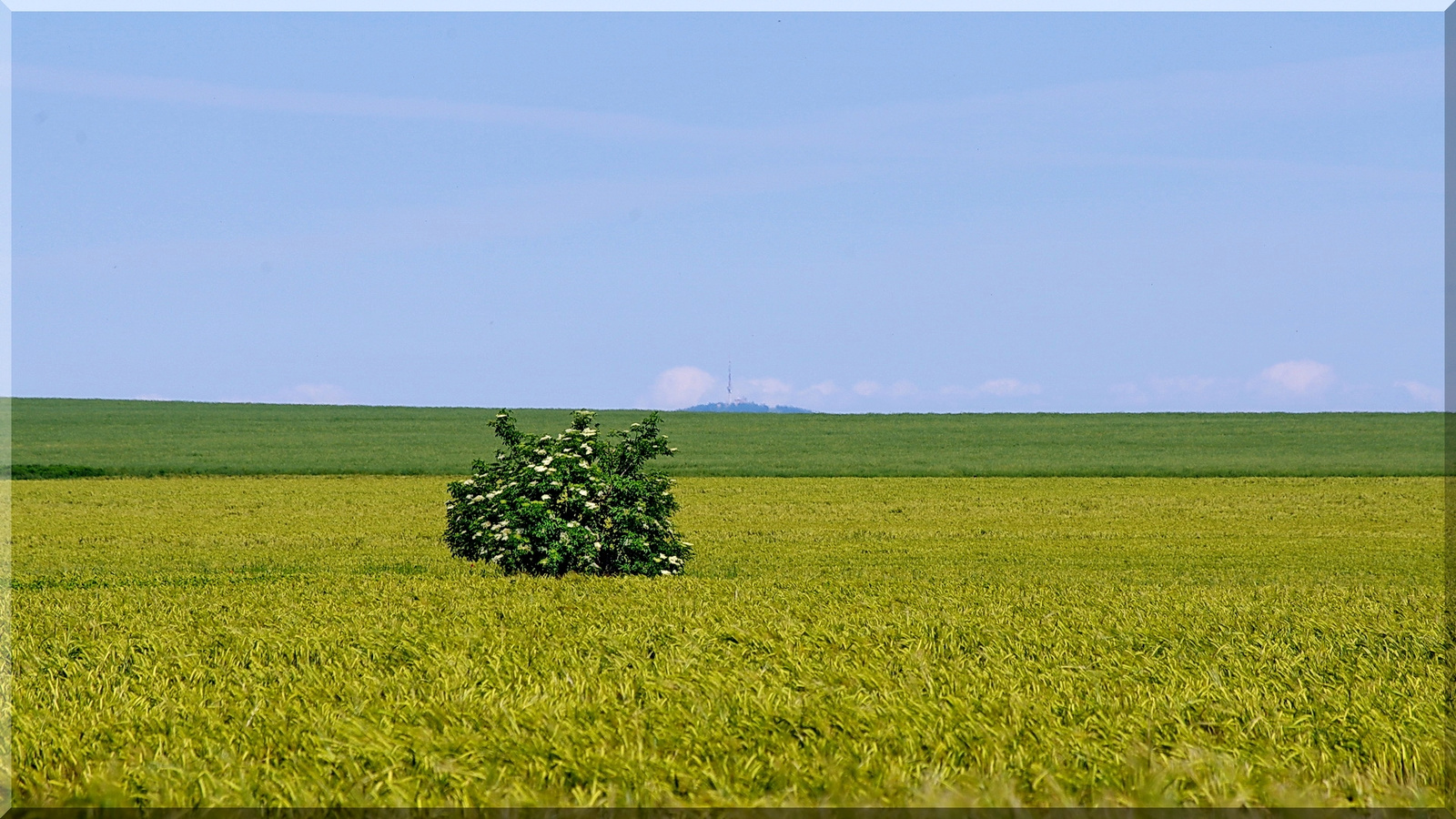 Tokaj ~37km