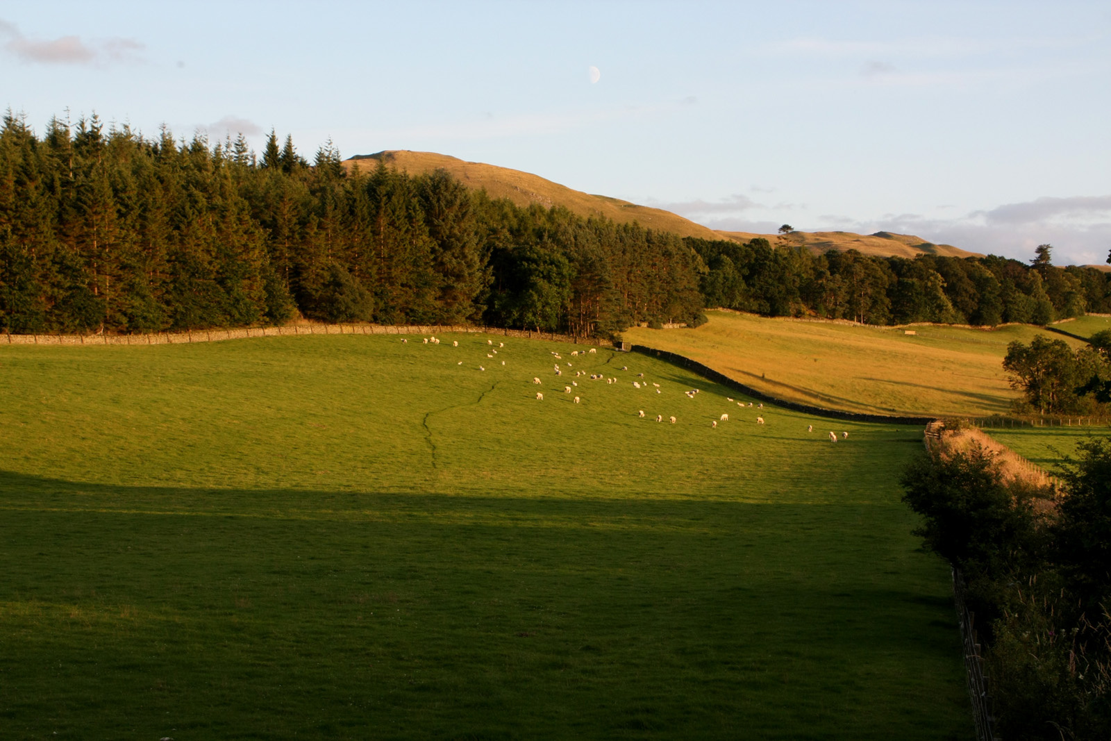 Scottish Border