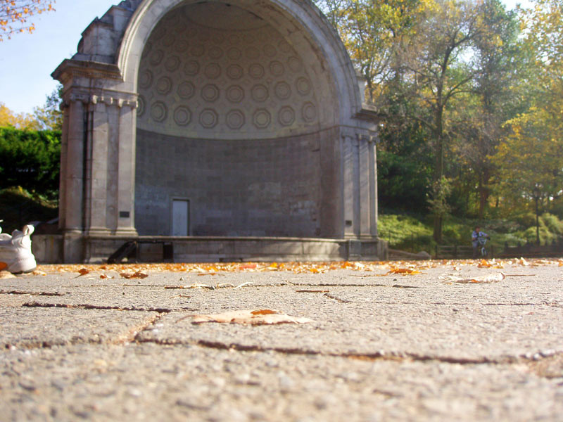 Central Park November