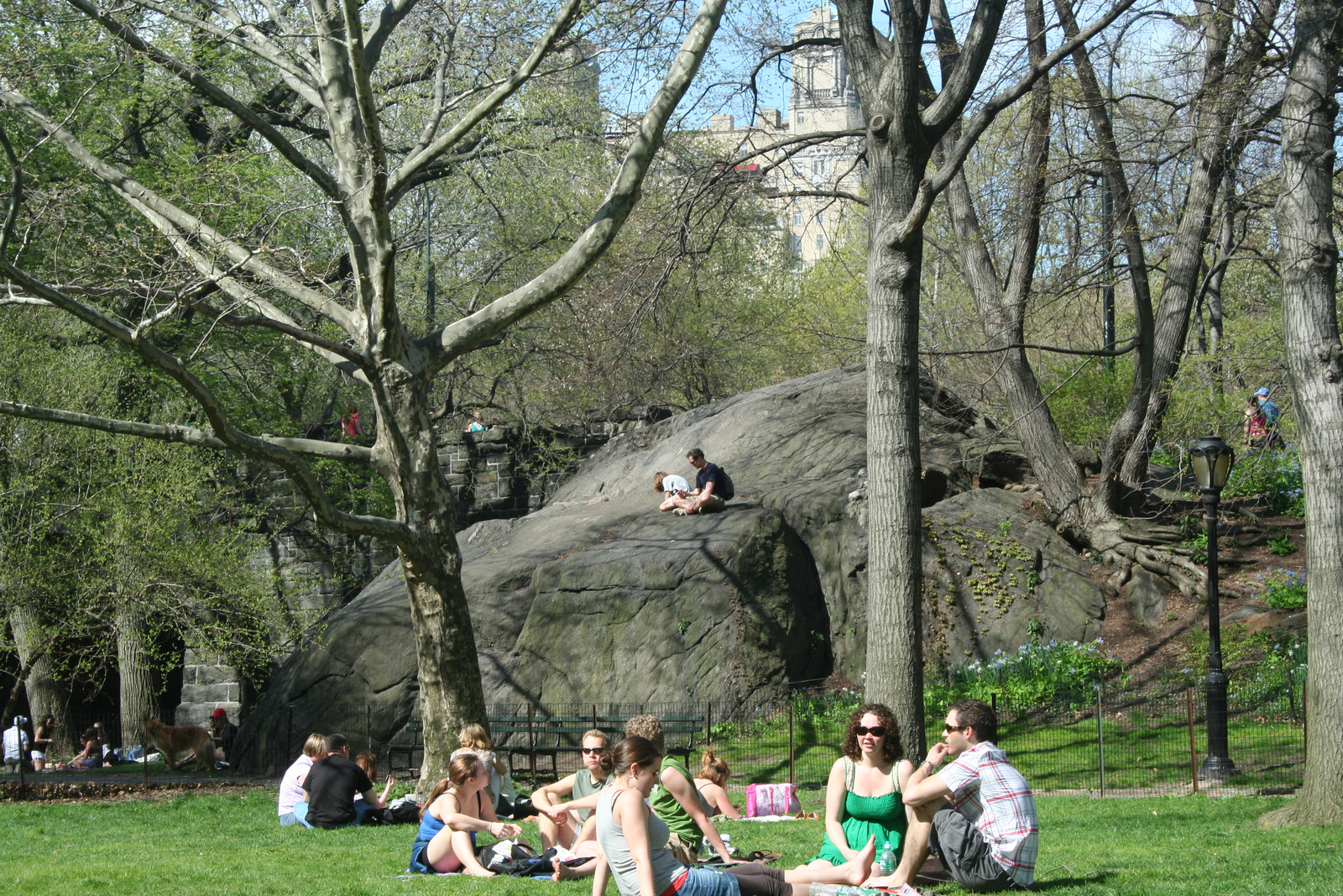 Central Park, April 2009