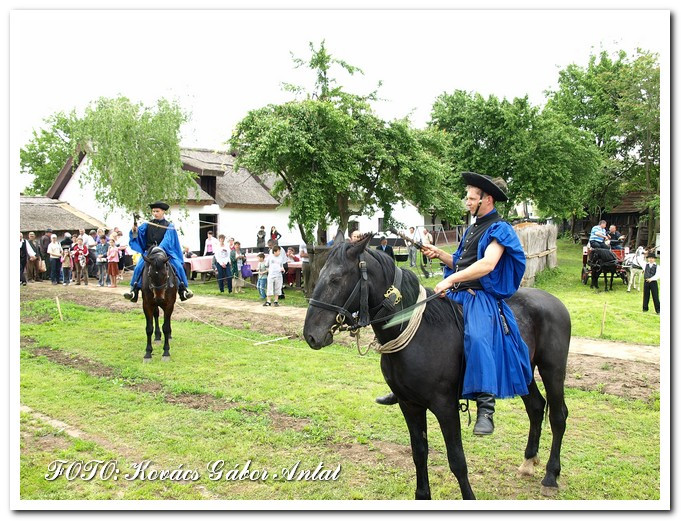 Hagyományőrző nap