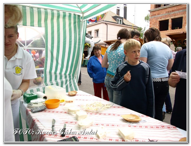 díszn. ízek fesztiválja538