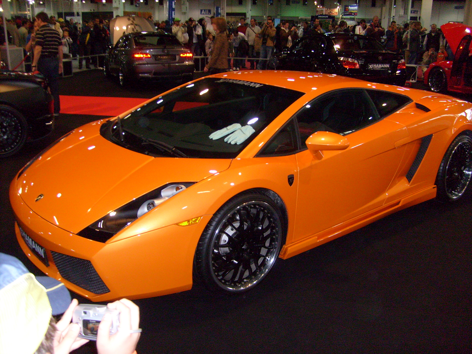 hamann gallardo