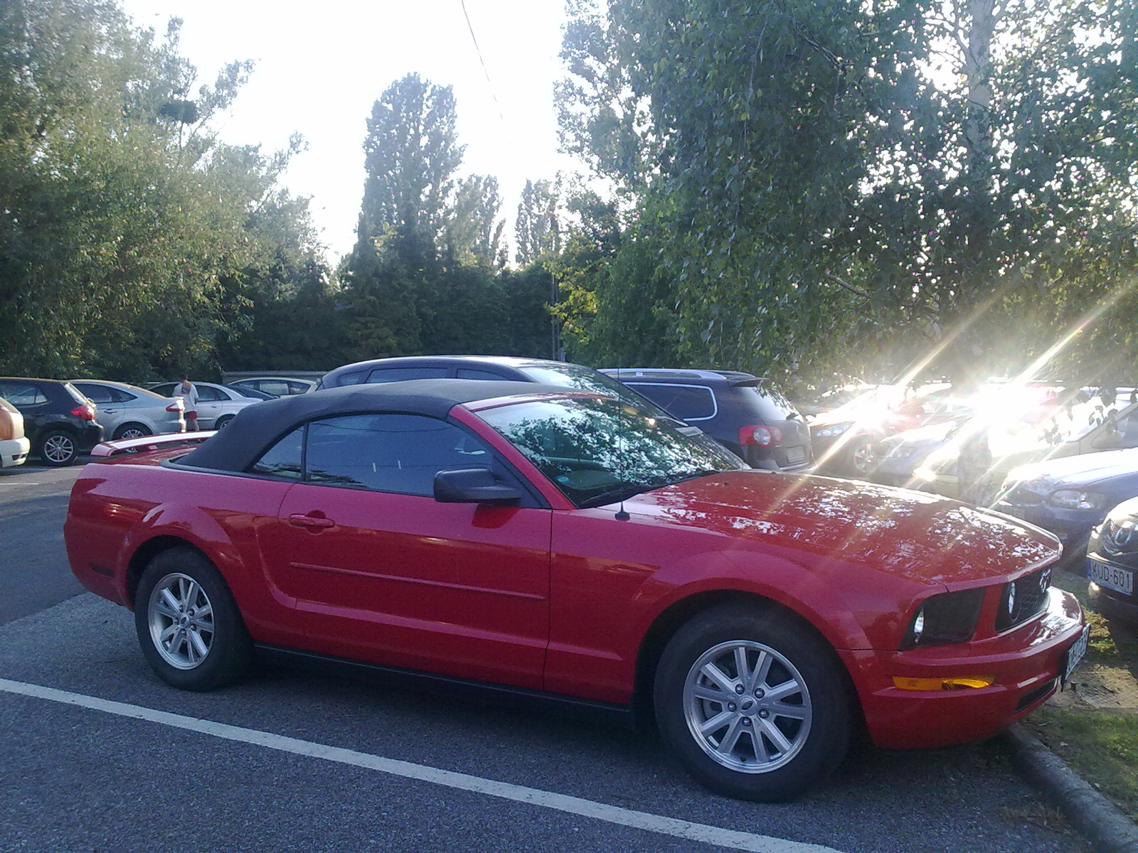 Ford Mustang V6 Convertible