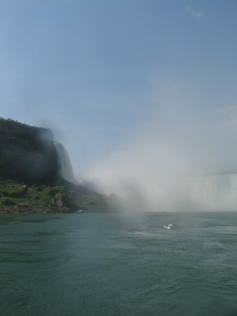 Niagara