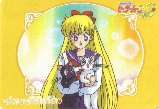 [large][AnimePaper]scans Sailor-Moon starryIllusion(1.46)  THISR