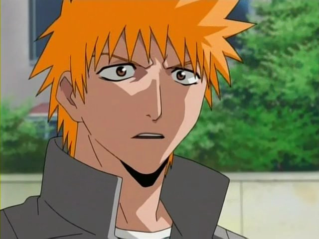 bleach ichigo0014