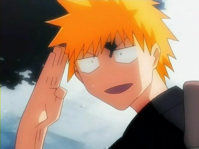 bleach ichigo0291