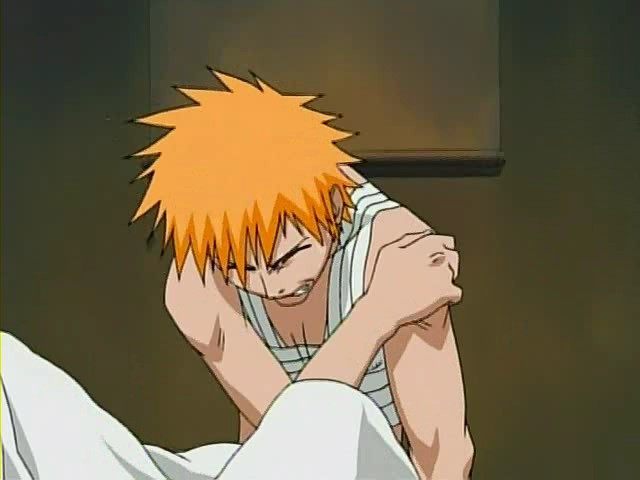 bleach ichigo0372