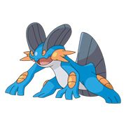 Swampert109