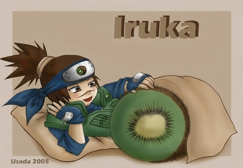 iruka1