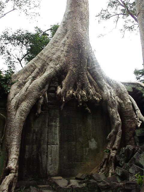 Angkor