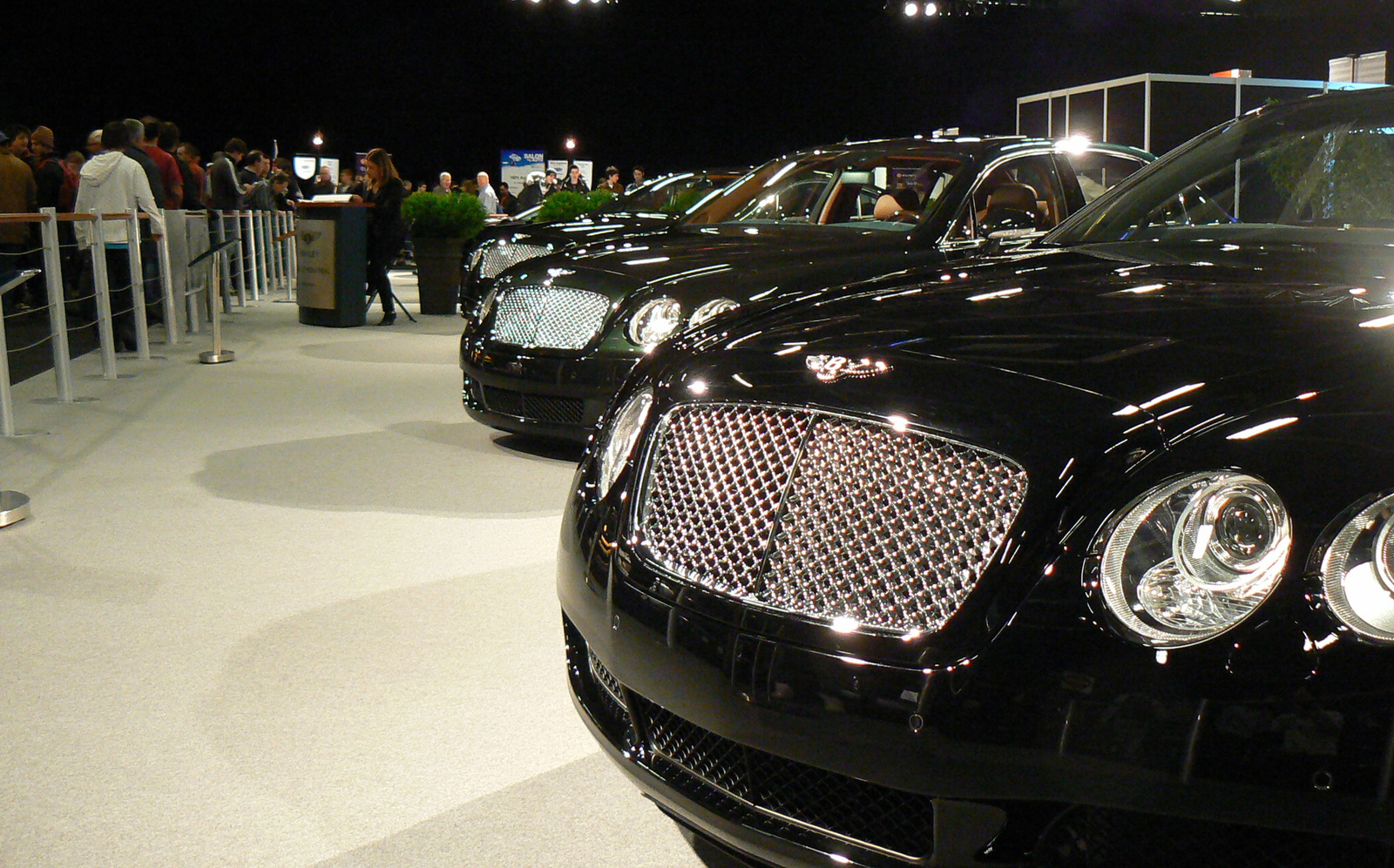 Bentley bunch