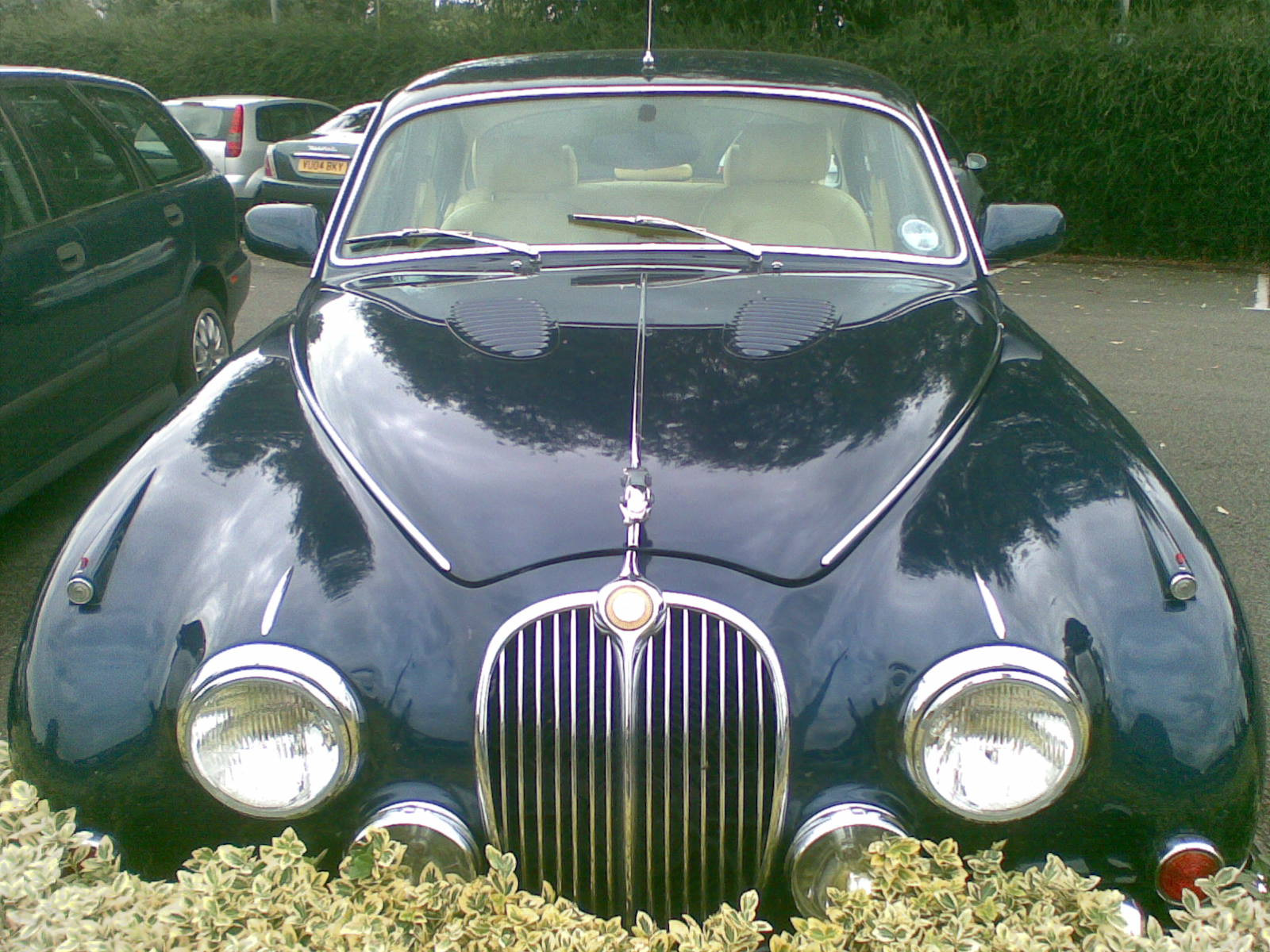 Jaguar MkII -7