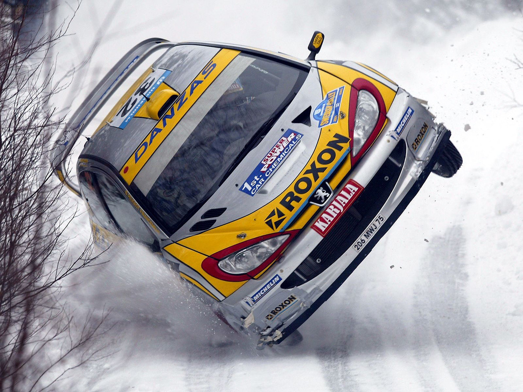 Peugeot 206 wrc 1