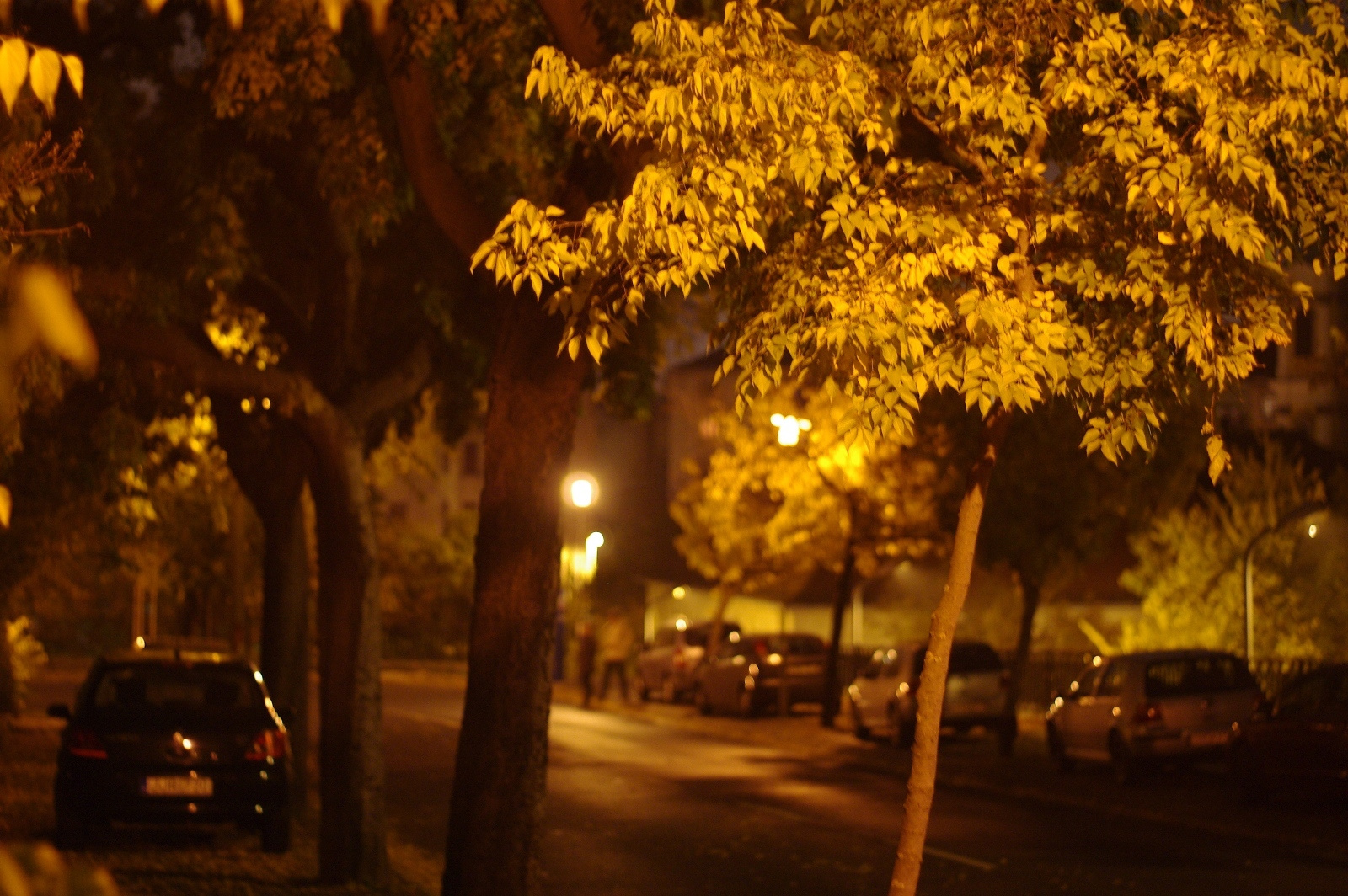 utca este