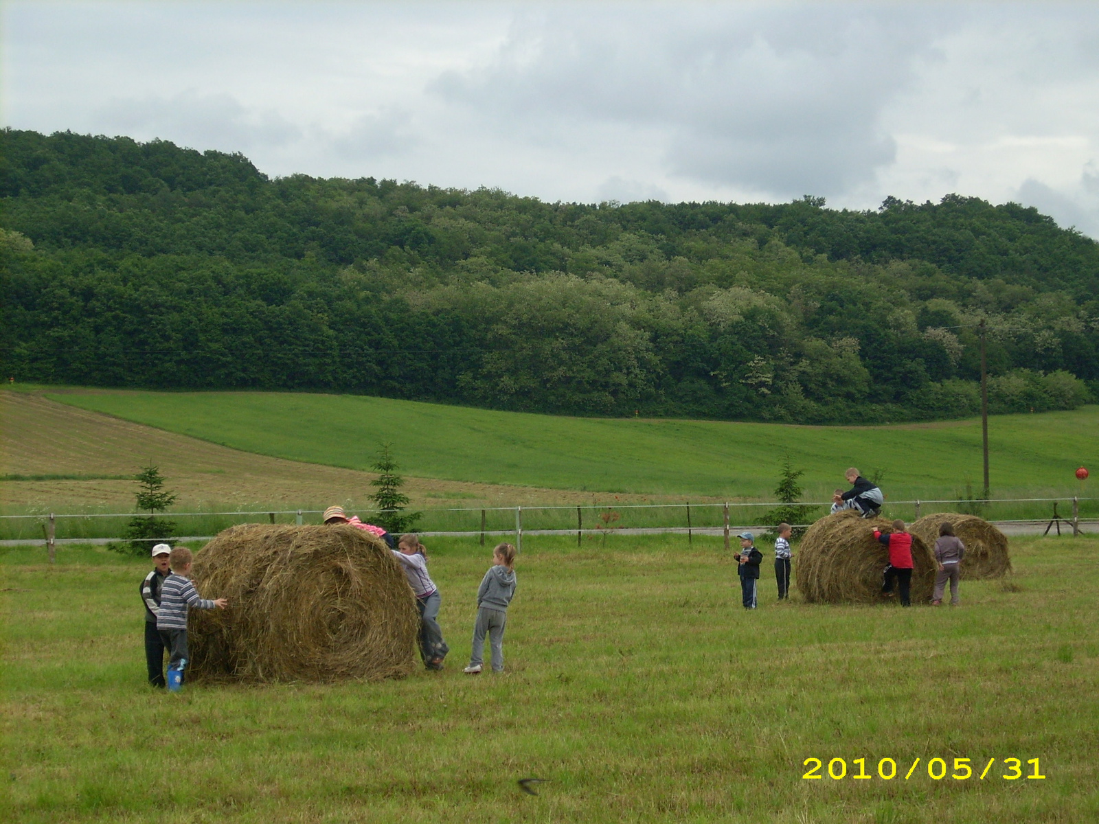 2010 Kelecsény 114