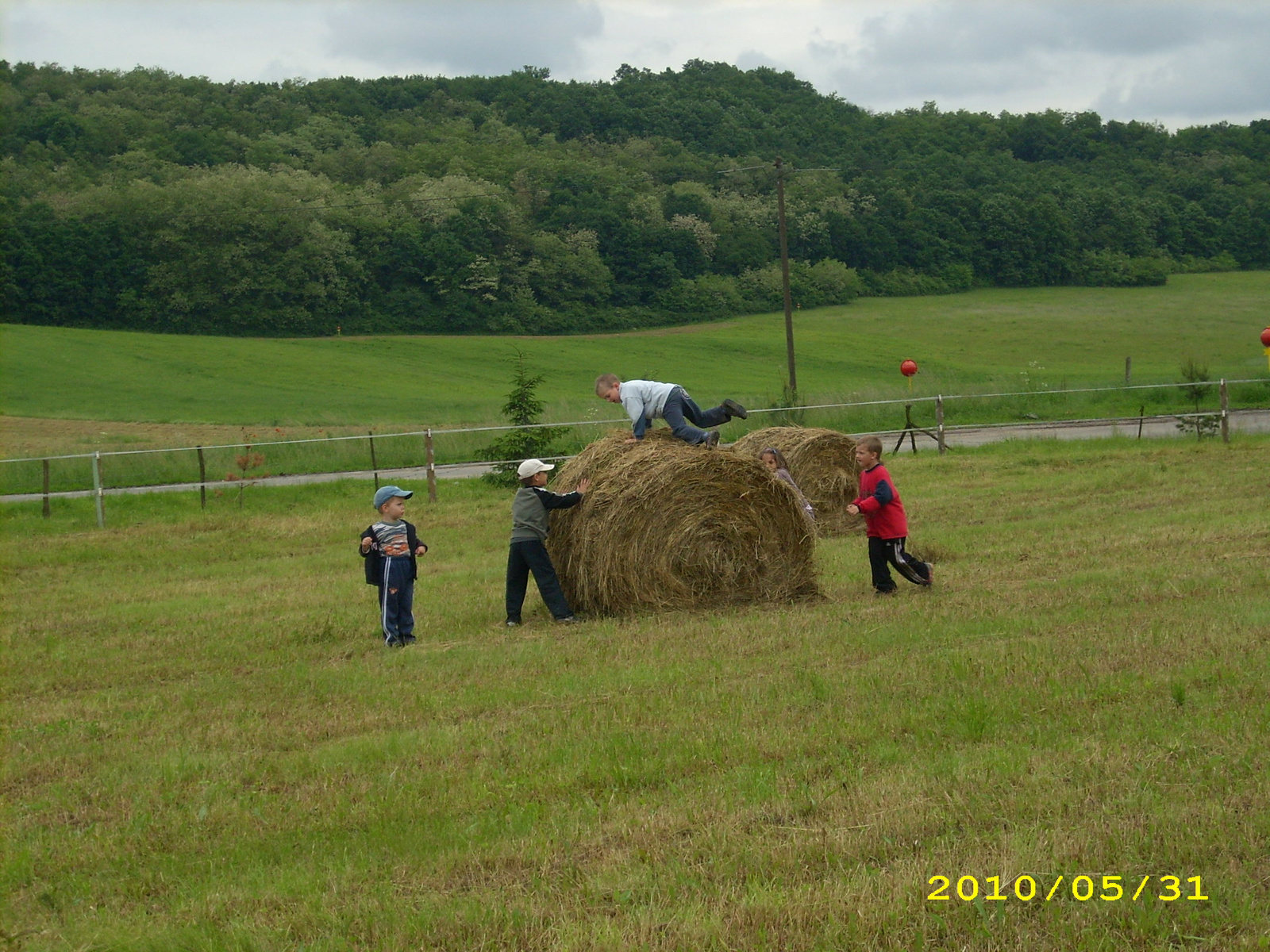 2010 Kelecsény 116