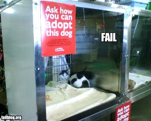 fail-owned-dog-adoption-fail