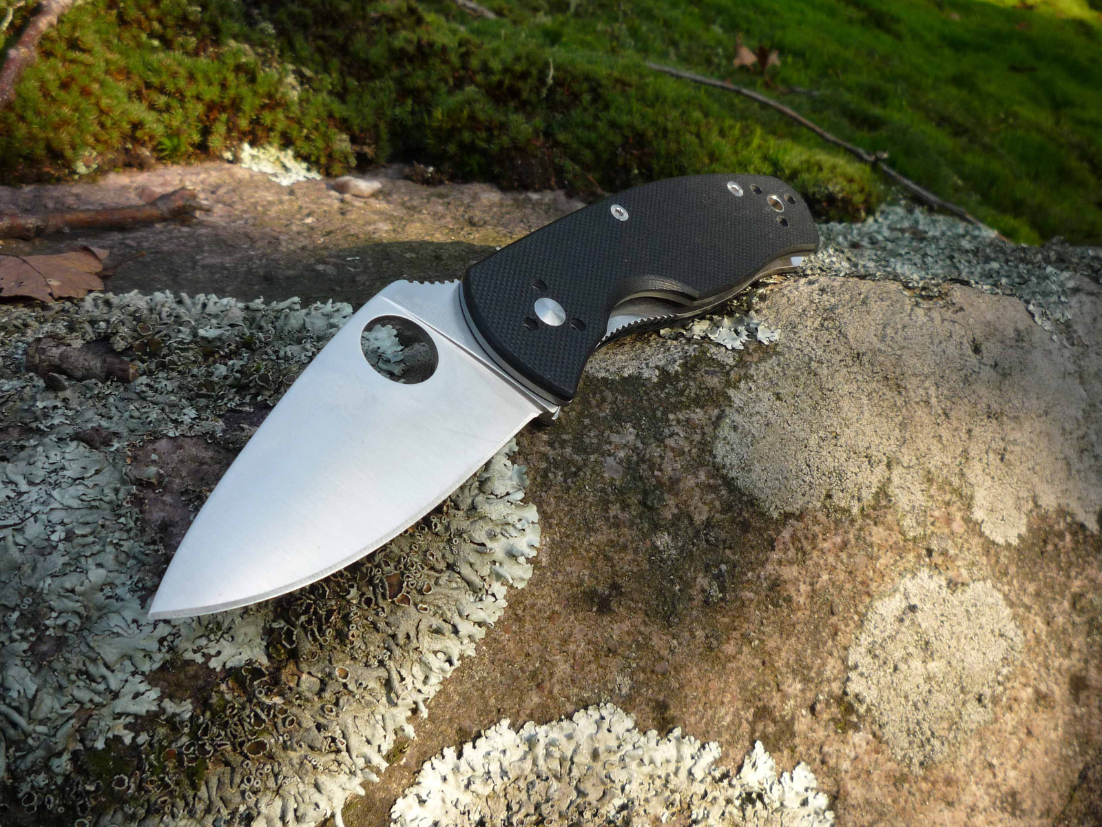 Spyderco Persistance