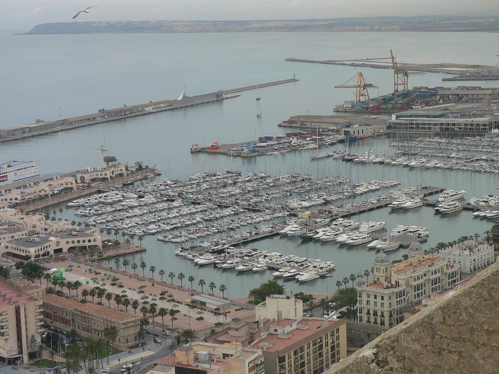 04 b Alicante (03)