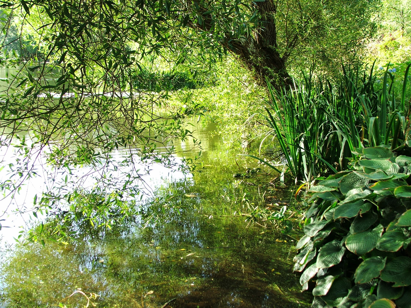 Mount Stewart House And Gardens