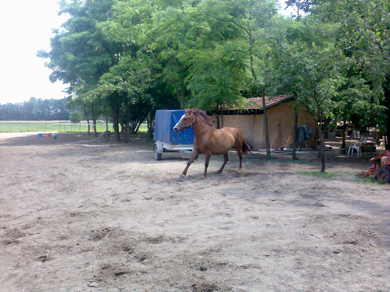 201007 Tábor004