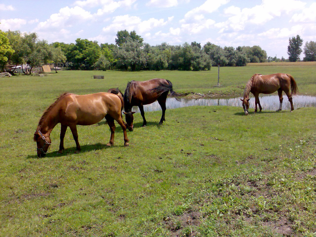 201007 Tábor048