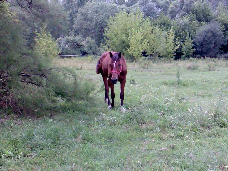 201007 Tábor064