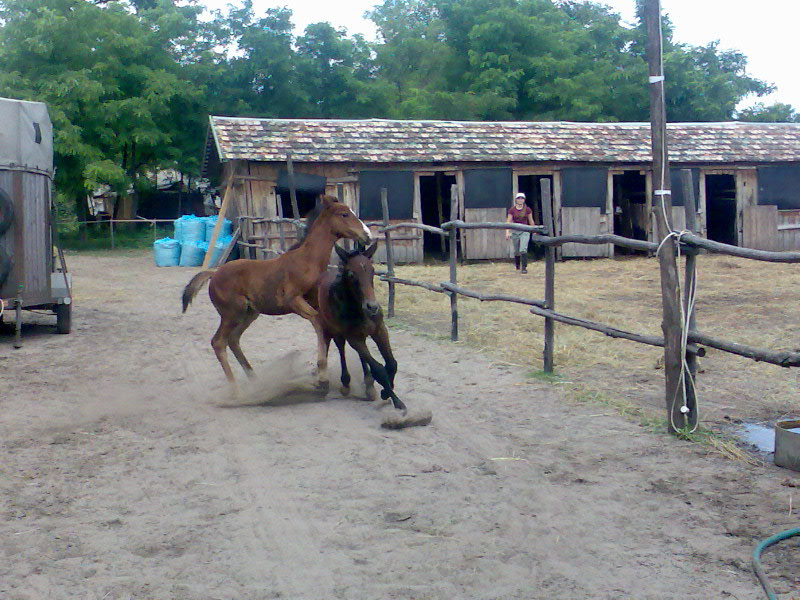 201007 Tábor084