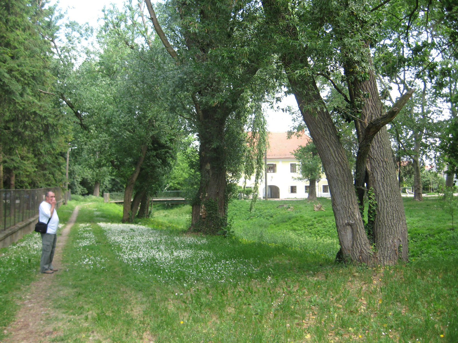 Zalacsány (59)