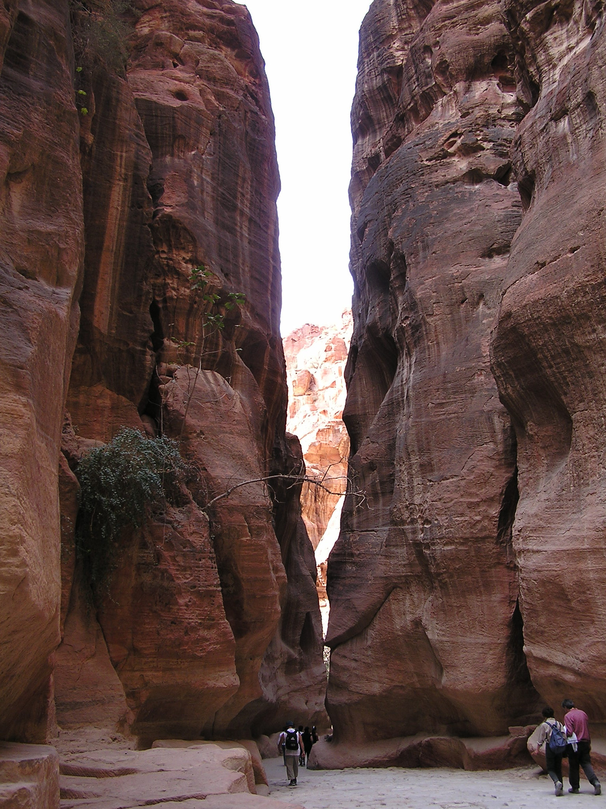 Szikla hasadék/Petra