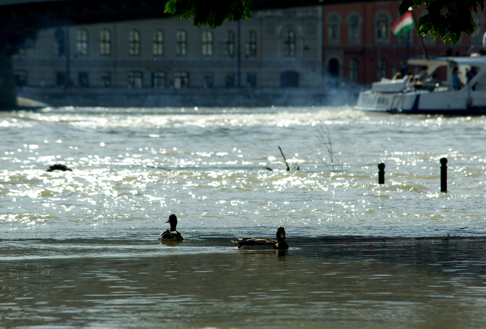 Duna, áradás, Budapest, rakpart (28)