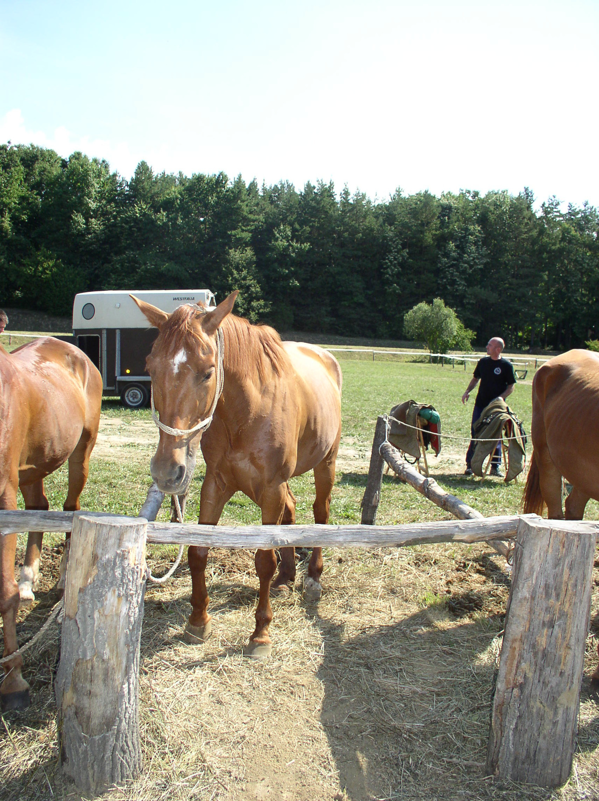 0650 2007.07.08 Orfű-Kemencés