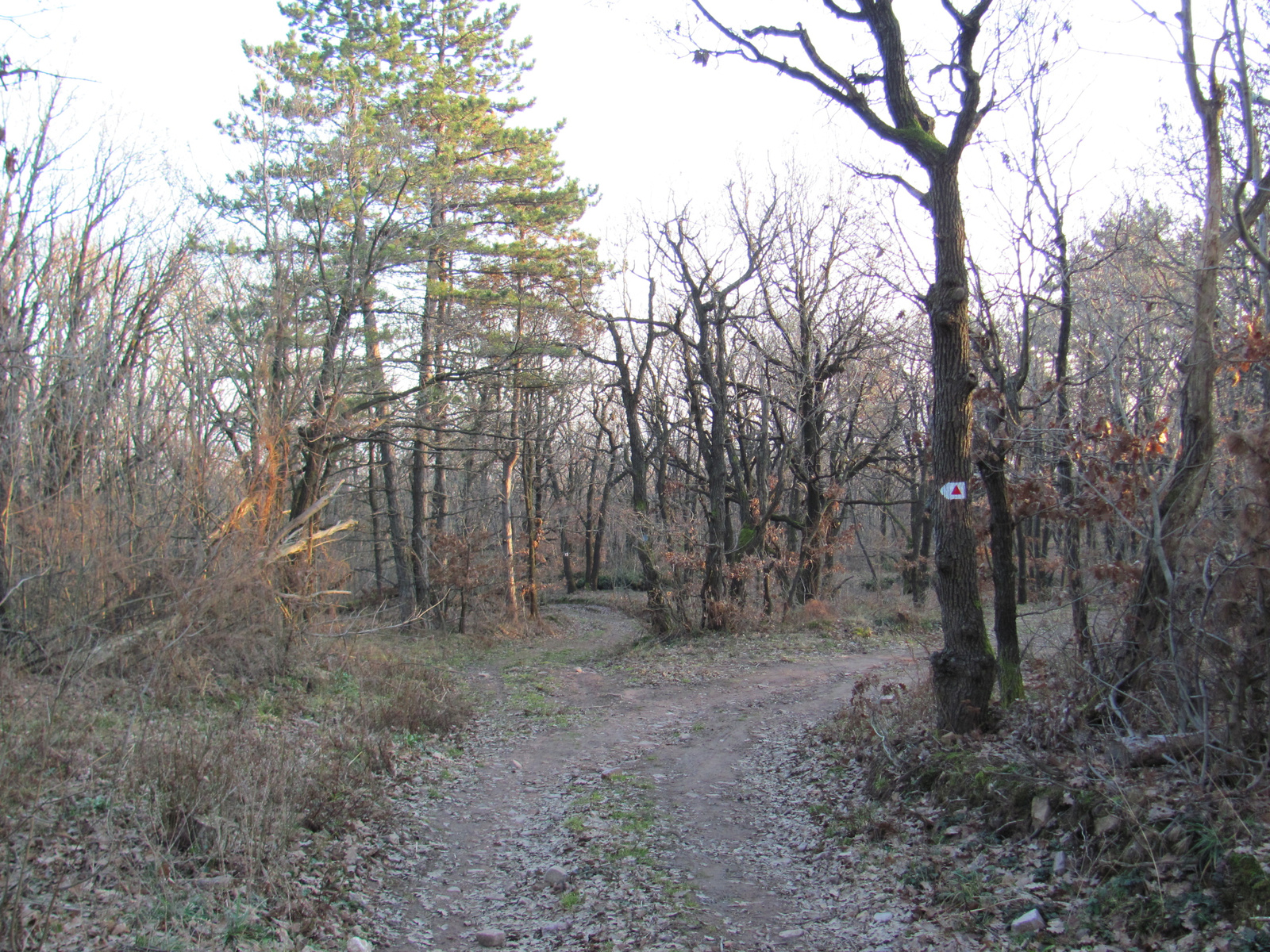 2011.01.16 Orfű jakabhegy Patacs 123