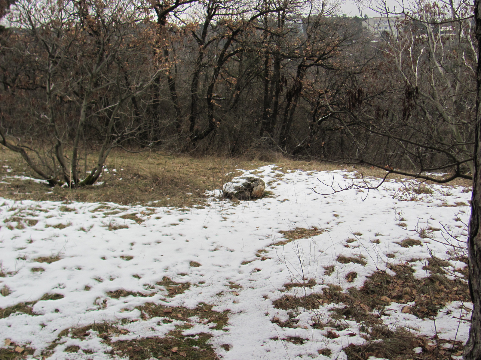 2011.01.30.Orfű-Pécs