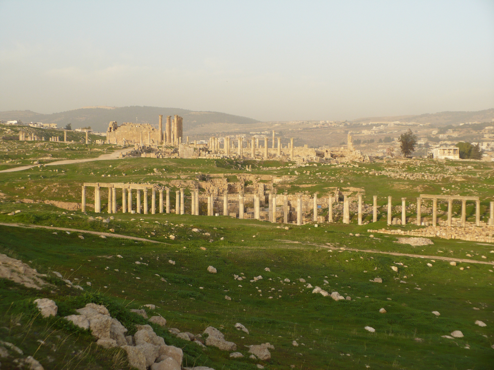 Jerash14