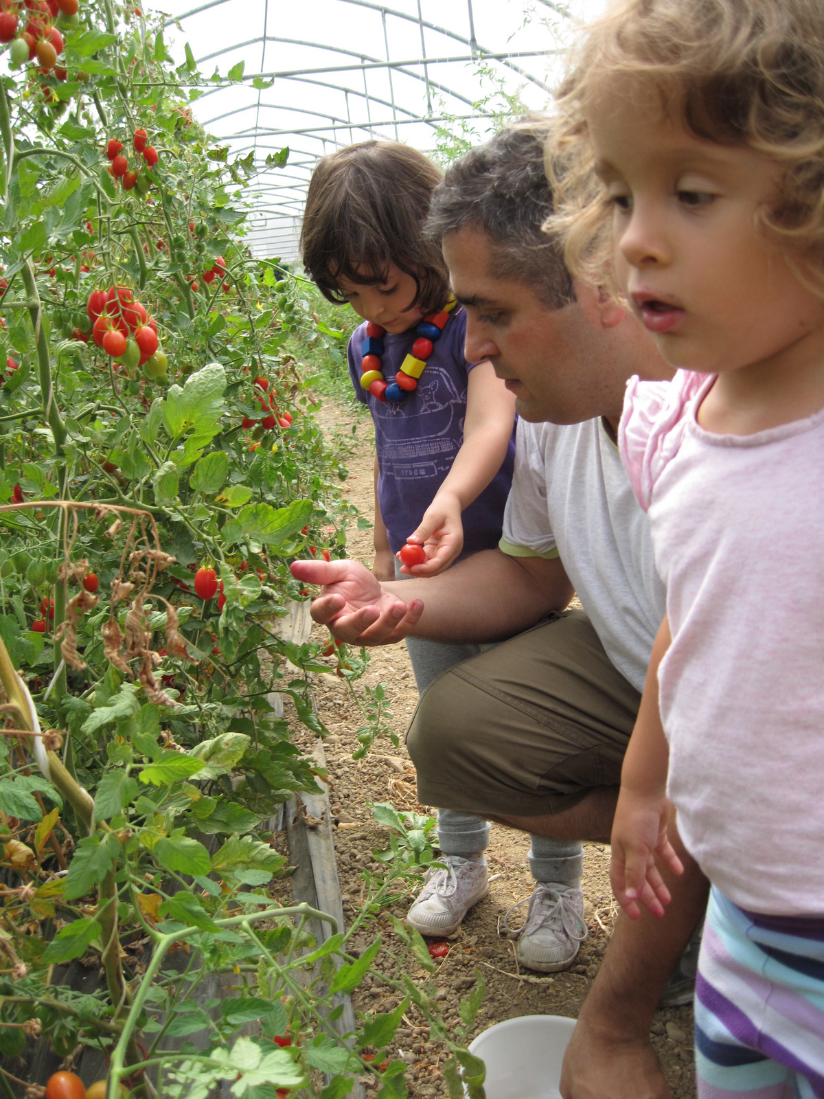 selfpicking in embrach