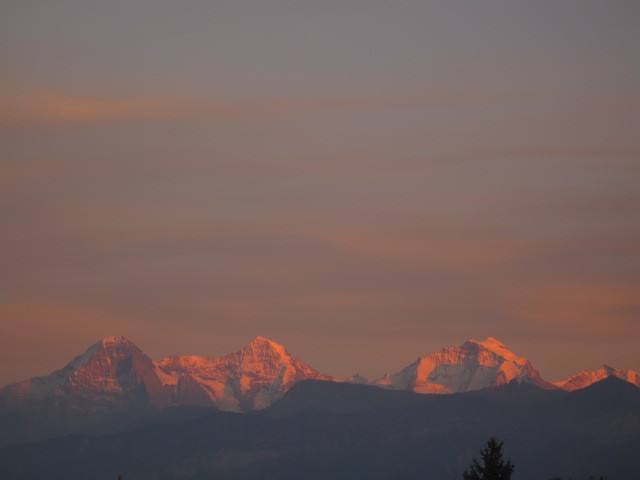 jungfrau at sunset